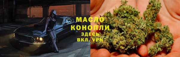 прущие грибы Алзамай