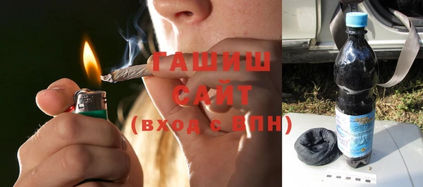 прущие грибы Алзамай