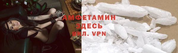 прущие грибы Алзамай