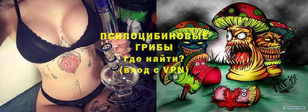 прущие крисы Алексин