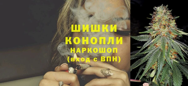 эйфоретик Ельня